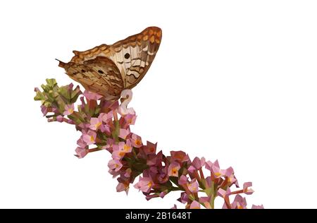 Faible poly illustration d'un papillon sur une tige de fleurs avec un fond Banque D'Images