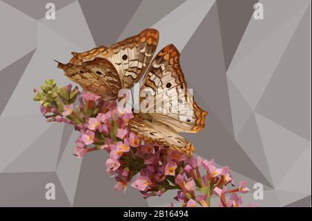 Faible poly illustration des papillons sur une tige de fleurs avec un fond Banque D'Images