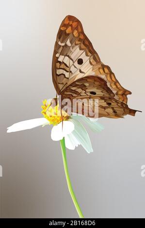Illustration poly basse d'un papillon marron sur une Marguerite avec fond dégradé Banque D'Images