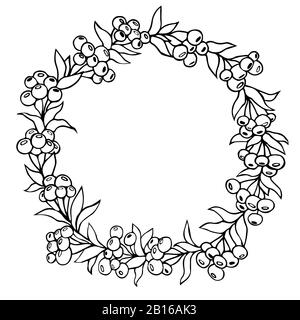 Cadre circulaire floral botanique. Illustration vectorielle linéaire noir et blanc dessinée à la main. Cercle de baies. Tatouage de fleurs de graphe Illustration de Vecteur