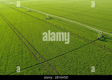 Vue aérienne de l'arroseur d'irrigation à pivot central dans le jeune champ de blé vert, photographie de drone Banque D'Images