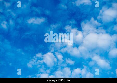 Ciel bleu avec nuages blancs moelleux. Nuages Alto-cumulus. Arrière-plan naturel. Banque D'Images