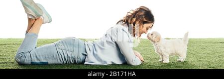 Photo panoramique d'une femme regardant le chiot Havanais et allongé sur l'herbe isolée sur blanc Banque D'Images