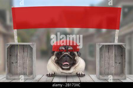 chien de chiot de chiot de marchand souriant à l'ail avec chapeau et bannière publicitaire rouge vierge, vendre sur le marché de la rue Banque D'Images