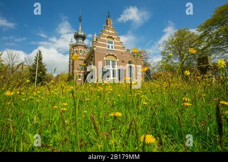 Prairie en fleurs devant la propriété Martenastate, Pays-Bas, Frise, Martenastate, Koarnjum Banque D'Images