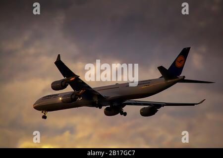 Lufthansa A 340-600 arrivant à Boston au coucher du soleil Banque D'Images