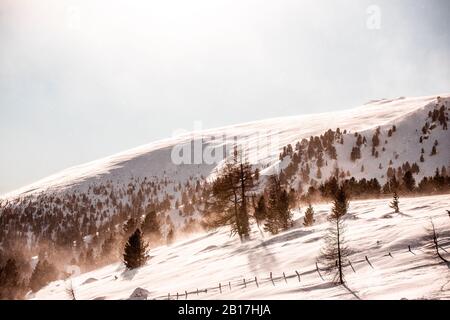 Autriche, Carinthie, Reichenau, Nockberge, Falkert, montagne enneigée le jour ensoleillé Banque D'Images