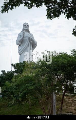 Cuba, la Havane, arbres devant la statue du Christ de la Havane Banque D'Images