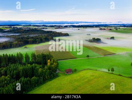 Allemagne, Bavière, Munsing, vue aérienne du brouillard flottant sur la campagne verte Banque D'Images