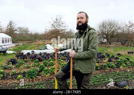 Homme travaillant dans la pépinière de légumes, à l'aide de la fourche de creusement Banque D'Images