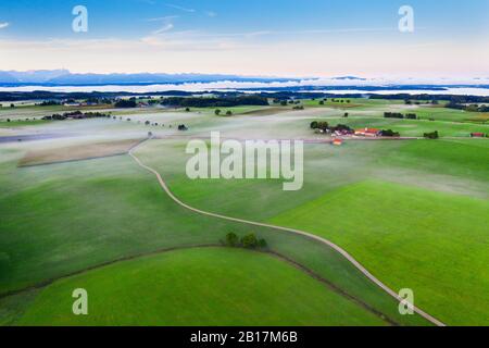 Allemagne, Bavière, Munsing, vue aérienne du brouillard flottant sur la campagne verte Banque D'Images