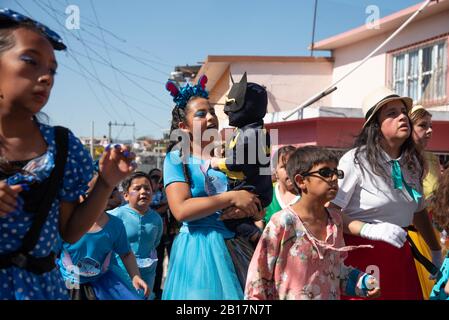 Alto Tà-O Diego, Veracruz, México. 23 février 2020. Dans la communauté Alto TÃ o Diego, les femmes inaugurent leur carnaval Afro-descendant. Dans cette ville, les travailleurs africains ont habité le carnaval il y a plus de 300 ans. Aujourd'hui, le défilé inaugural est fait par des femmes vêtues de costumes et de masques de taureaux. Crédit: Hector Adolfo Quintanar Perez/Zuma Wire/Alay Live News Banque D'Images