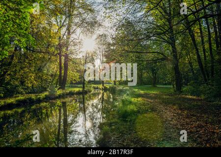 Rivière Isar dans le jardin d'Anglais du Nord en automne, Oberfohring, Munich, Allemagne Banque D'Images