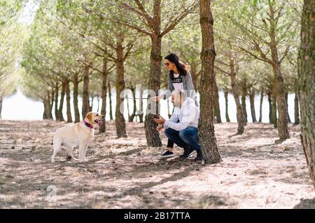 Couple jouant avec leur chien dans un parc Banque D'Images