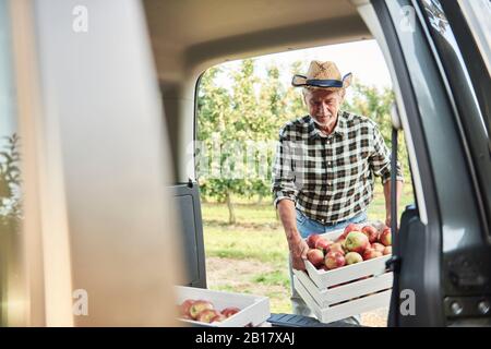 Voiture de chargement pour cultivateur de fruits avec caisses de pommes Banque D'Images