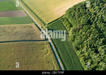 Vue aérienne de la route rurale dans le paysage rural avec champs agricoles, été. Franconie, Bavière, Allemagne. Banque D'Images