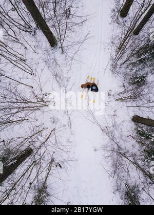 Vue aérienne d'un couple avec skis dans la forêt, région de Leningrad, Russie Banque D'Images