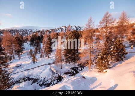 Autriche, Carinthie, Reichenau, Nockberge, Falkert, montagne enneigée le jour ensoleillé Banque D'Images