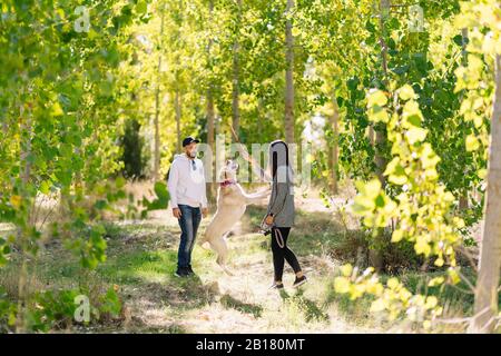 Un couple jouant avec son chien dans un parc Banque D'Images