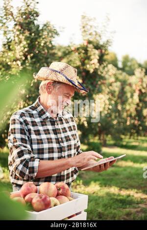Cultivateur de fruits utilisant une tablette numérique dans son verger de pommes Banque D'Images