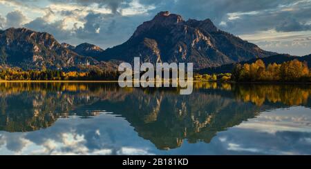 Schloss Neuschwanstein Bei Hohenschwangau, Romantische Strasse, Ostallgu, Bayern, Deutschland, Europa Banque D'Images