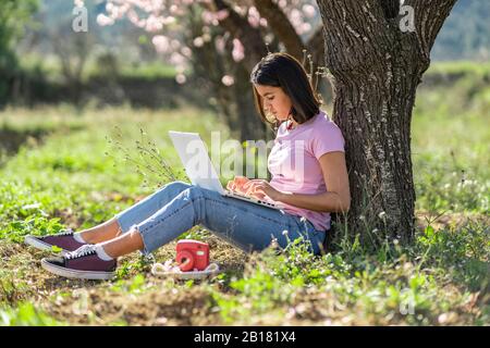 Une adolescente assise sur un pré penchant contre le tronc d'arbre à l'aide d'un ordinateur portable