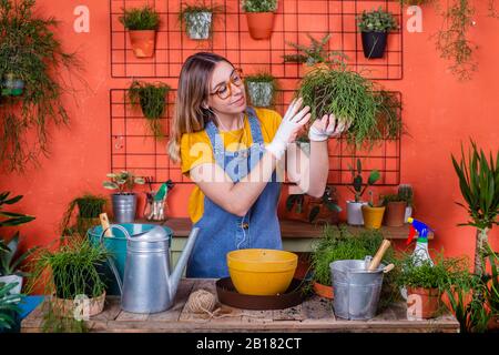 Femme examinant l'usine de Rhipsalis sur sa terrasse Banque D'Images