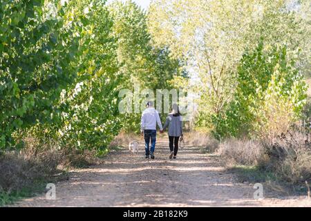 Un couple marchant avec son chien à travers un parc Banque D'Images