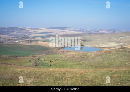 Vue panoramique sur un lac de la plaine de Transylvanie (Roumain: Câmpia Transilvanei, hongrois: Mezőség) Banque D'Images