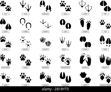 Empreintes des animaux. La silhouette des pieds animaux, l'empreinte des grenouilles et les animaux de compagnie sont des silhouettes qui impriment des illustrations vectorielles Illustration de Vecteur