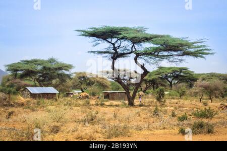 Marsabit, Kenya - 16 janvier 2015 : les logements traditionnels des huttes de la tribu Samburu dans le nord du Kenya, près de la frontière avec l'Éthiopie. Banque D'Images