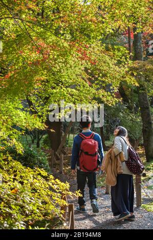 Un jeune couple japonais se promore sous les feuilles vertes d'un érable japonais dans le domaine du temple de Ninni-Ji, Kyoto, Japon Banque D'Images