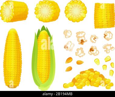 Maïs à dessin animé. Récolte de maïs doré, céréales de maïs soufflé et maïs sucré. Jeu d'illustrations vectorielles EAR of corn, Delicious légumes Illustration de Vecteur