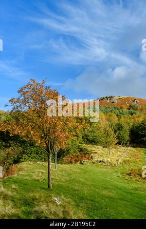 Vue panoramique sur la campagne (couleurs d'automne, collines ou landes ensoleillées, sommet de haute colline et crag, ciel bleu) - Abbaye de Bolton, Yorkshire du Nord, Angleterre, Royaume-Uni. Banque D'Images