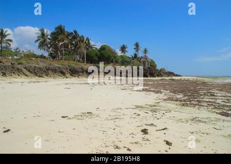 Marée basse sur la plage de Diani, la côte de l'océan Indien. Kenya, Afrique Banque D'Images