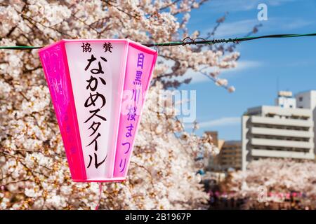 Hanami à Tokyo. La Célèbre Promenade Des Cerisiers En Fleurs De La Rivière Meguro Banque D'Images