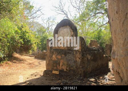 L'ancienne ville arabe abandonnée de Gede, près de Malindi, au Kenya. Architecture swahili classique. Ils comprennent également une mosquée, un palais, des maisons et des tombes Banque D'Images