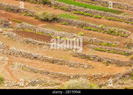 Champs de terrasse sur Tenerife, Îles Canaries, Tenerife, Buenavista del Norte, Santa Cruz Banque D'Images
