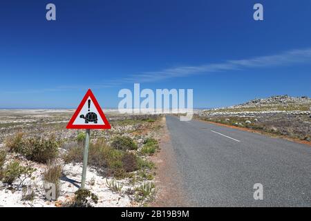 Avertissement attention aux tortues, Afrique du Sud, Cap occidental, Parc national de Table Mountain, Cap De Bon espoir Banque D'Images