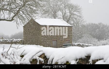 Aygarth, Yorkshire Du Nord, Royaume-Uni. 24 février 2020. Chute De Neige Pendant La Nuit Dans Le North Yorkshire Credit: David Edmund-Jones/Alay Live News Banque D'Images