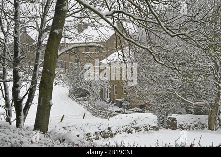 Aygarth, Yorkshire Du Nord, Royaume-Uni. 24 février 2020. Chute De Neige Pendant La Nuit Dans Le North Yorkshire Credit: David Edmund-Jones/Alay Live News Banque D'Images