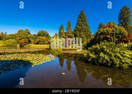 Réflexions dans le lac de Sheffield Park, Sussex, Royaume-Uni Banque D'Images