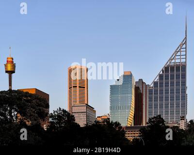 Vue Depuis Le Domaine. Soixante Martin Place, Sydney, Australie. Architecte: Hassell, 2019. Banque D'Images