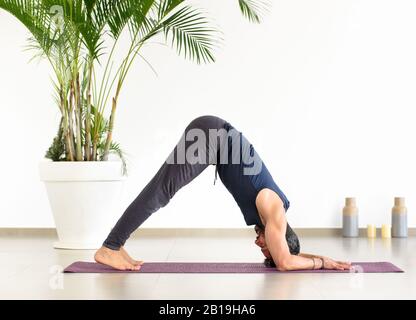 Faites-vous poser un dauphin de yoga lors d'une séance d'entraînement dans une salle de sport avec vue latérale en bas angle dans un concept de santé et de remise en forme Banque D'Images