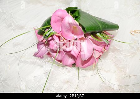 Bouquet de nénuphars ou de gansets. Zantedeschia aethiopica. Calla Lily. Gannet. Banque D'Images