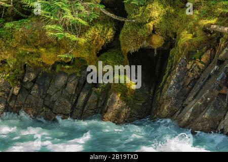 Rapides De La Rivière Robson Dans Le Parc Provincial Du Mont Robson, Colombie-Britannique, Canada Banque D'Images