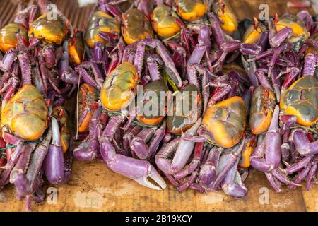 Equateur, près de Quitpo une pile de crabes frais locaux. Banque D'Images