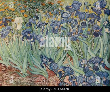 Iris 1889 peinture de Vincent van Gogh - Très haute résolution et image de qualité Banque D'Images