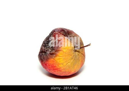 Une pomme pourrie et détable. Isolé sur un fond blanc. Banque D'Images