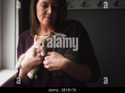 Femme tenant deux chatons adorables dans ses bras à côté d'une fenêtre. Banque D'Images